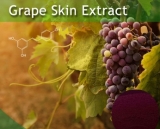 Szőlőhéj kivonat por (Grape skin extract)