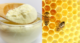 Méhpempő por (Royal Jelly powder 6,17 %- 10 HDA)