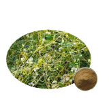 Aranka kivonat por (Cuscuta chinesis (dodder) extract)