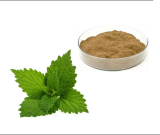 Csalánlevél kivonat por (Urtica dioica extract)