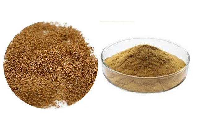Cuscuta mag kivonat por (Cuscuta chinesis (dodder seed) extract) (Tu Si Zi)