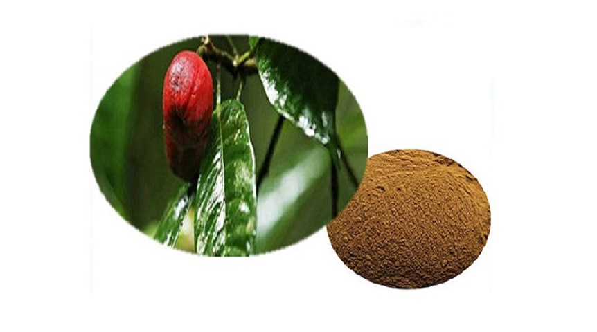 Blushwood-bogyó kivonat por (Blushwood berry extract)