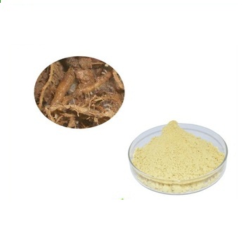 Galangagyökér (Kaempferol) kivonat por (Galanga (Kaempferol) extract)