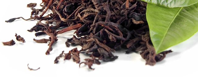 Fekete tea kivonat por (Black Tea Extract)